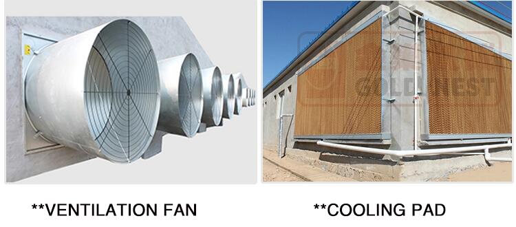 product-1-1 5.jpg