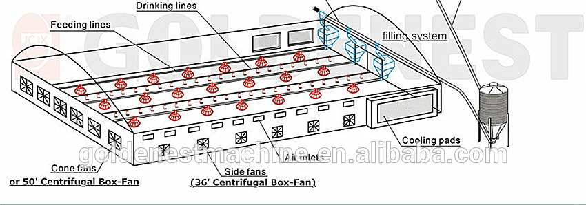 product-687-241 001chicken equipment.jpg